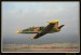L 39C ALBATROS  002.jpg
