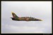 L 39C ALBATROS  006.jpg