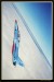 L 39C ALBATROS  009.jpg