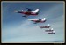 WHITE ALBATROS  003.jpg