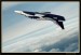 L 139 ALBATROS  002.jpg