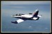 L 139 ALBATROS  004.jpg