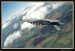 L 139 ALBATROS  014.jpg
