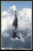 L 139 ALBATROS  017.jpg