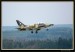 Flying Rhino 2008 003.jpg