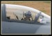 Flying Rhino 2008 006.jpg