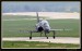 Flying Rhino 2008 008.jpg
