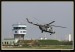 Flying Rhino 2008 010.jpg