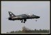 Flying Rhino 2008 016.jpg