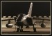 Flying Rhino 2008 021.jpg