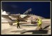 Flying Rhino 2008 022.jpg