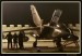 Flying Rhino 2008 023.jpg
