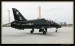 Flying Rhino 2008 029.jpg