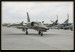 Flying Rhino 2008 032.jpg