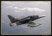 Flying Rhino 2008 035.jpg