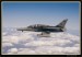 Flying Rhino 2008 036.jpg