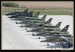 Flying Rhino 2008 037.jpg