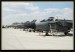 Flying Rhino 2008 038.jpg