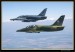Flying Rhino 2008 041.jpg