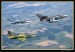 Flying Rhino 2008 044.jpg