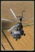 Mi17 & Mi24 05.jpg