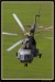 Mi17 & Mi24 13.jpg