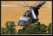 Mi17 & Mi24 17.jpg