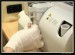 HEMATOLOGIE FOTO  07.jpg