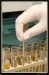 HEMATOLOGIE FOTO  10.jpg