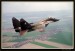 MIG 29 11.jpg
