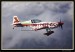 EXTRA 330LC 02.jpg