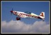 EXTRA 330LC 03.jpg