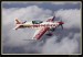 EXTRA 330LC 06.jpg