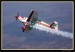 EXTRA 330LC 07.jpg