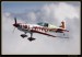 EXTRA 330LC 13.jpg