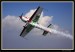 EXTRA 330LC 20.jpg