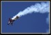 EXTRA 330LC  13.JPG