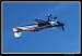 EXTRA 330SC 08.JPG