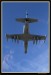 L 159 ALCA 13.JPG