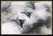 JAS 39 GRIPEN 19.jpg