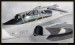 JAS 39 GRIPEN 30.jpg