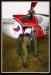 LZS  08