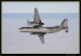 AN 26 16.jpg