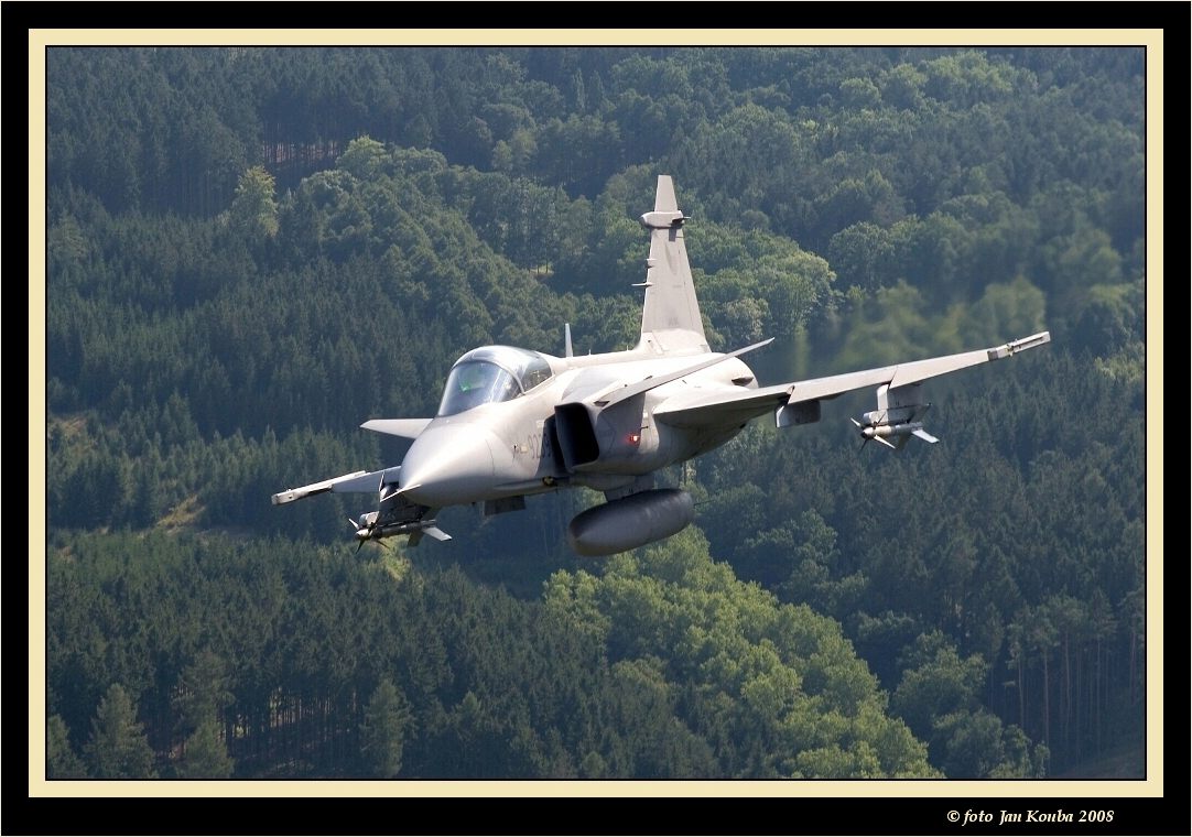 JAS 39 GRIPEN 42.jpg