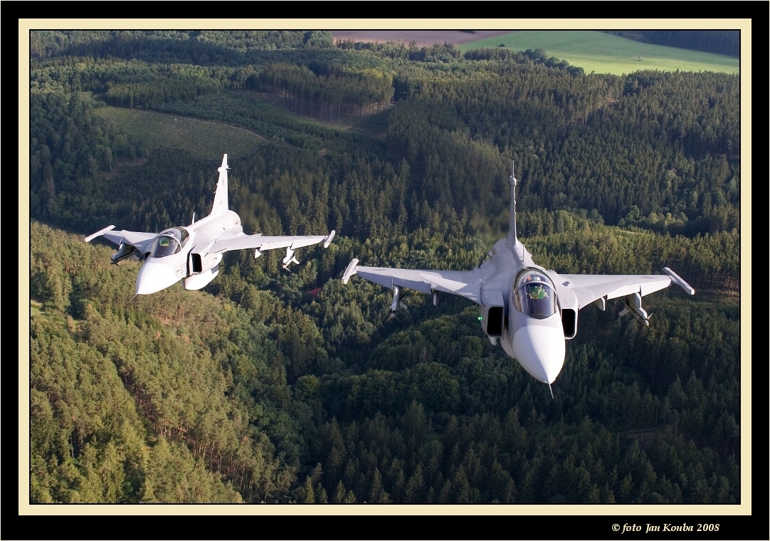 JAS 39 GRIPEN 44.jpg