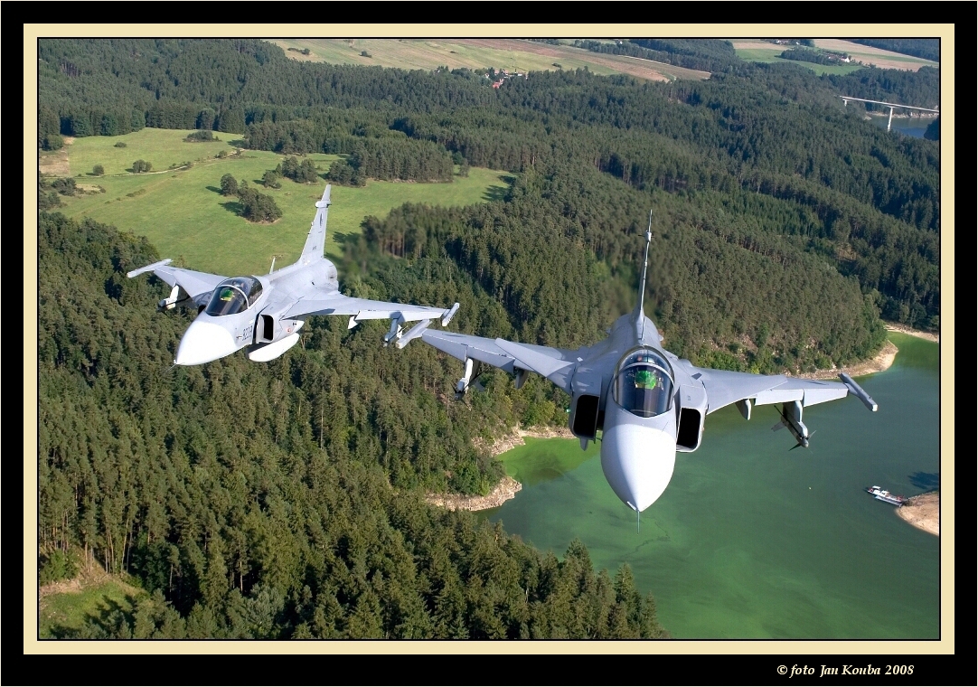 JAS 39 GRIPEN 48.jpg