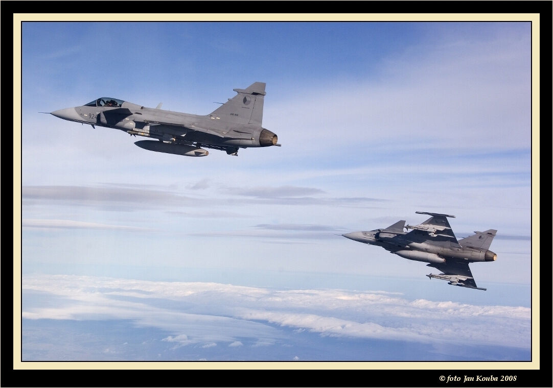 JAS 39 GRIPEN 50.jpg