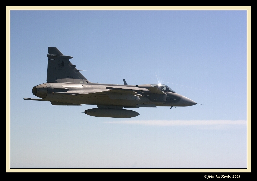 JAS 39 GRIPEN 53.jpg