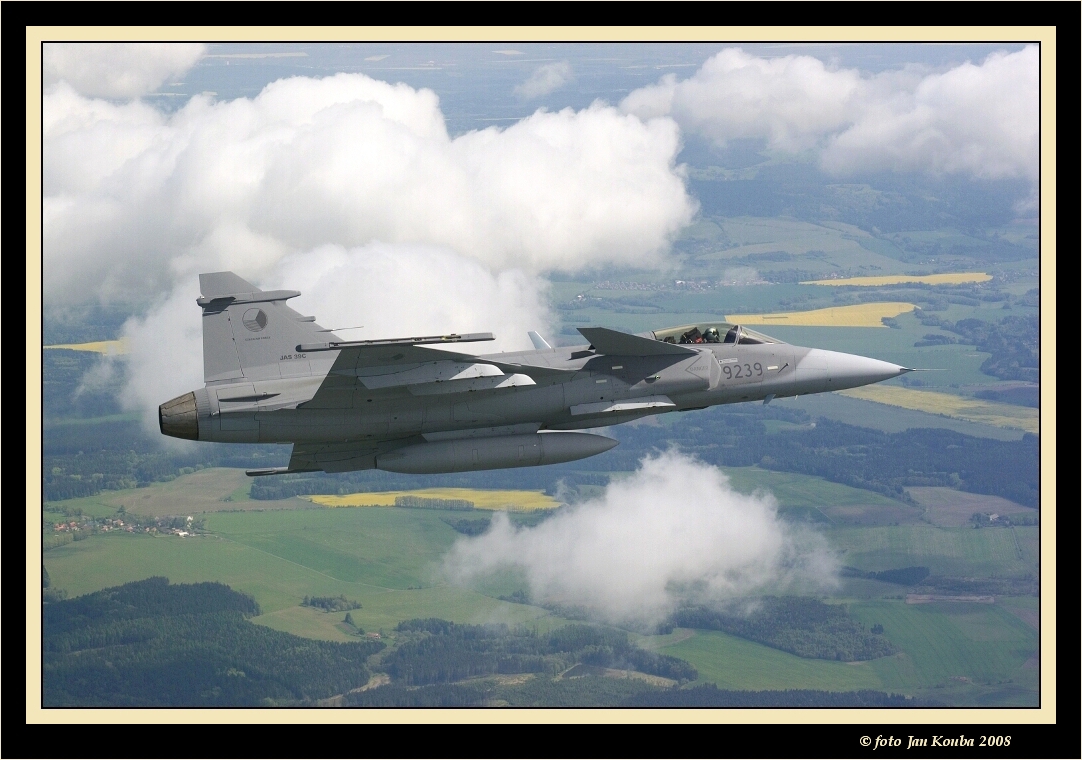 JAS 39 GRIPEN 59.jpg