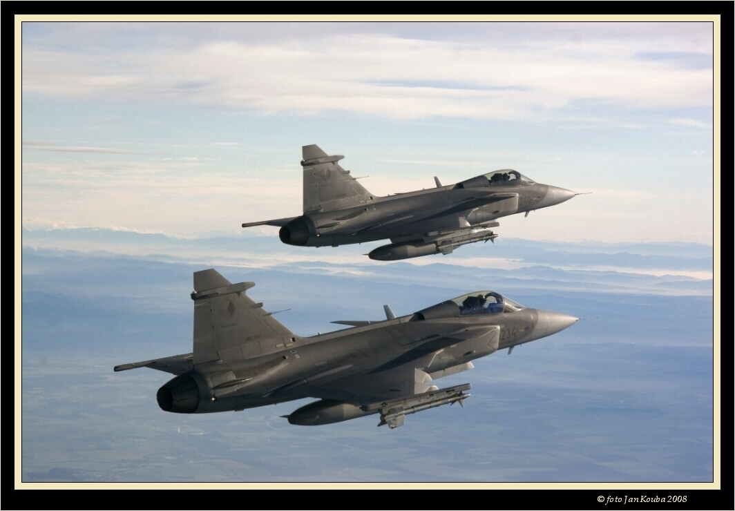 JAS 39 GRIPEN 22.jpg